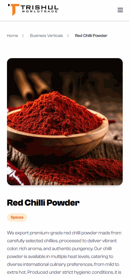 Website Design & Development - Image 4