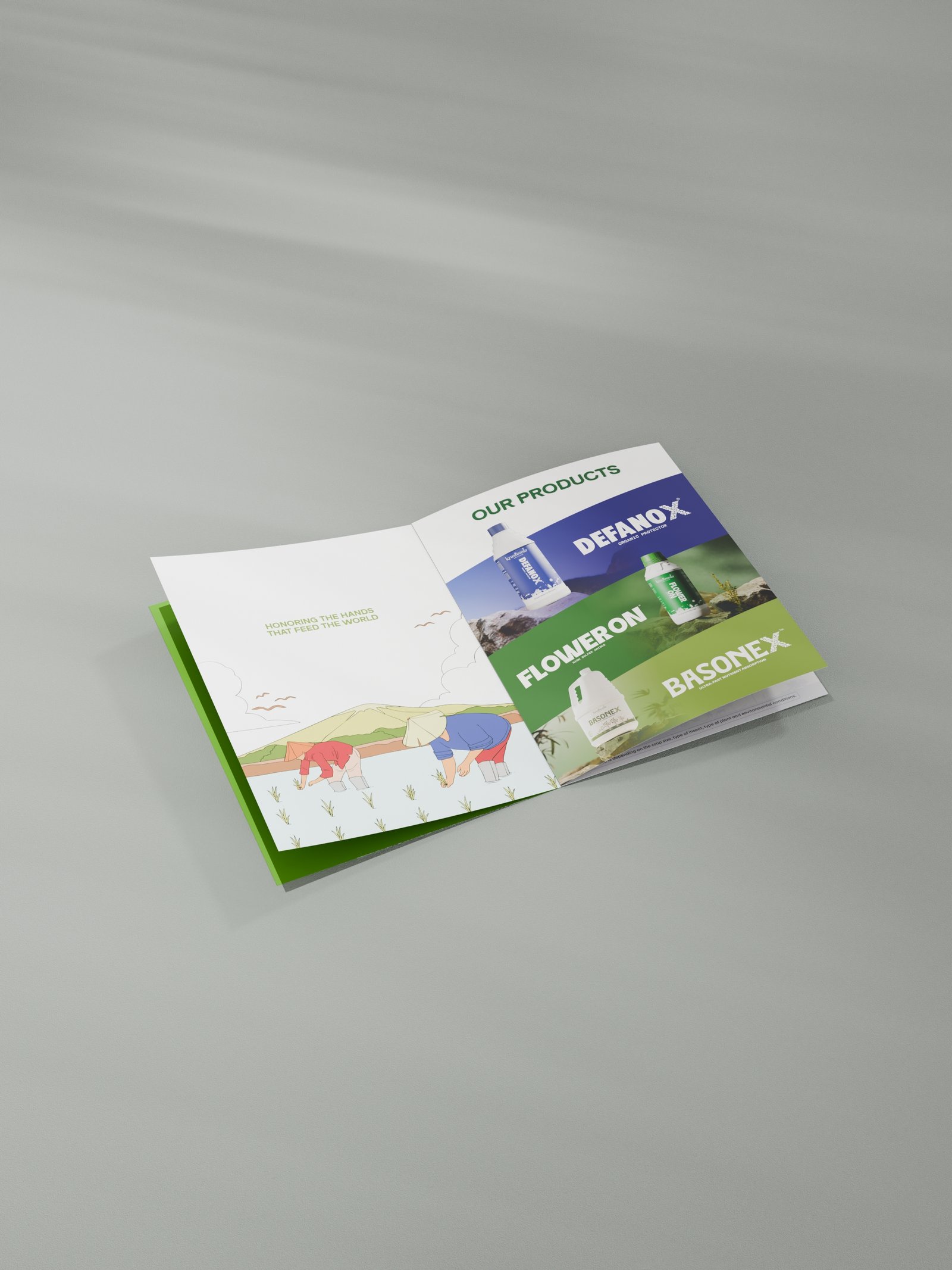 Packaging design, Catalogue design, 3D product Visuals - Image 1