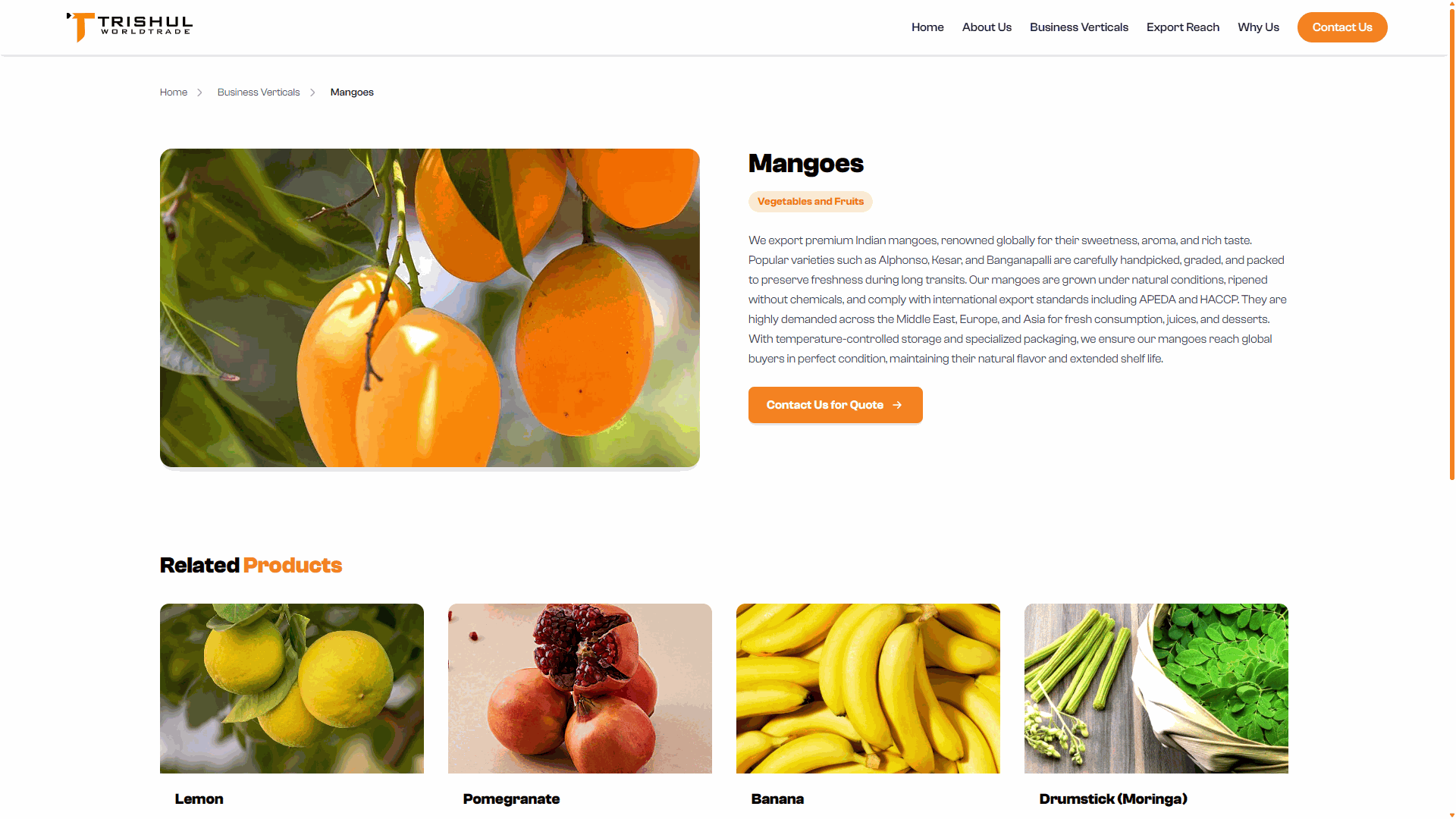 Website Design & Development - Image 9