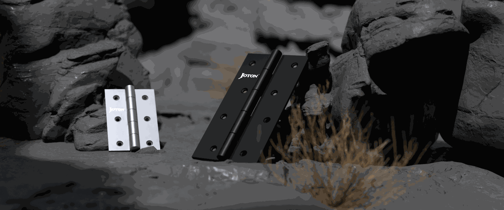 Social Media Content - Image 5