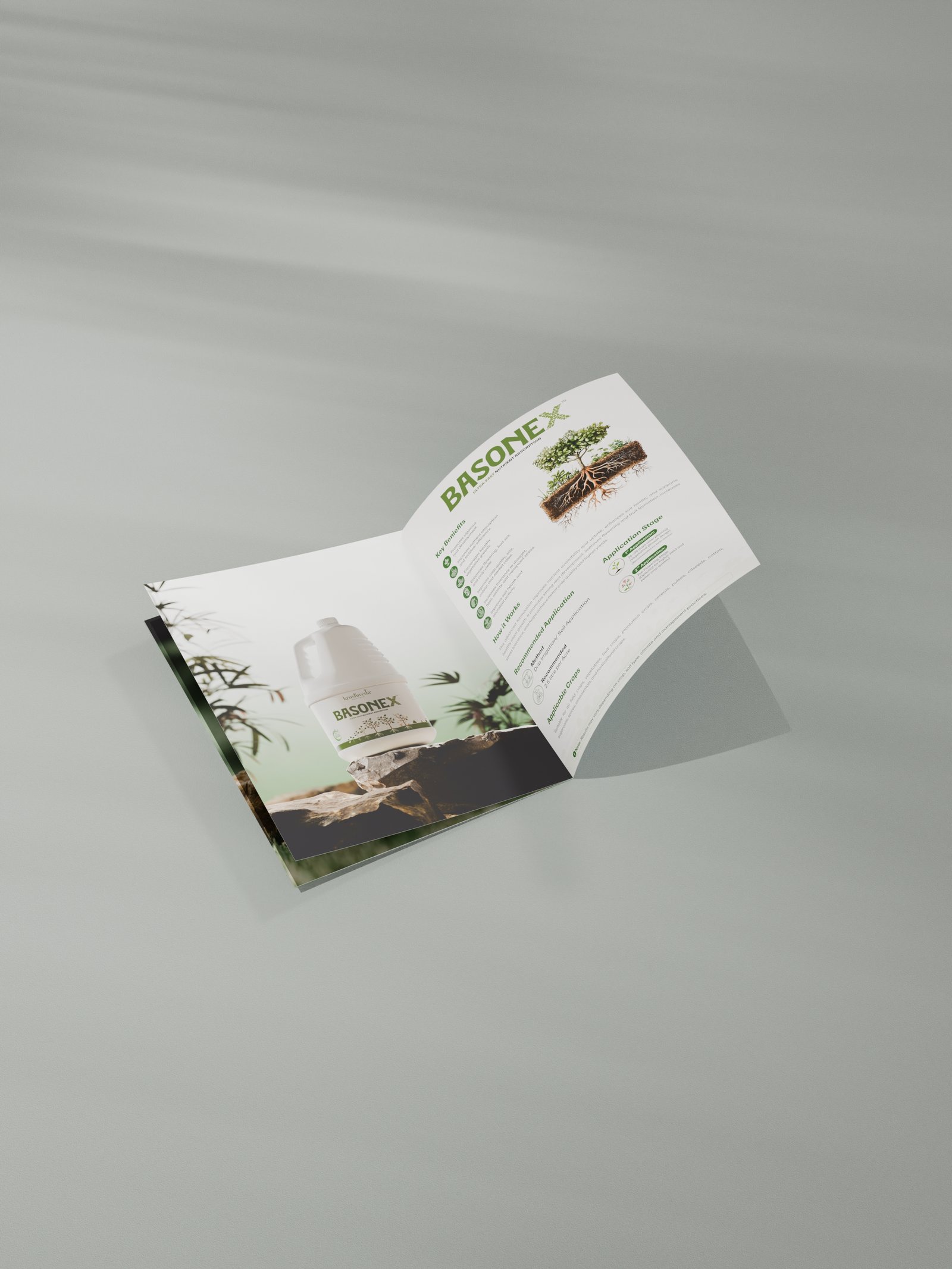 Packaging design, Catalogue design, 3D product Visuals - Image 7